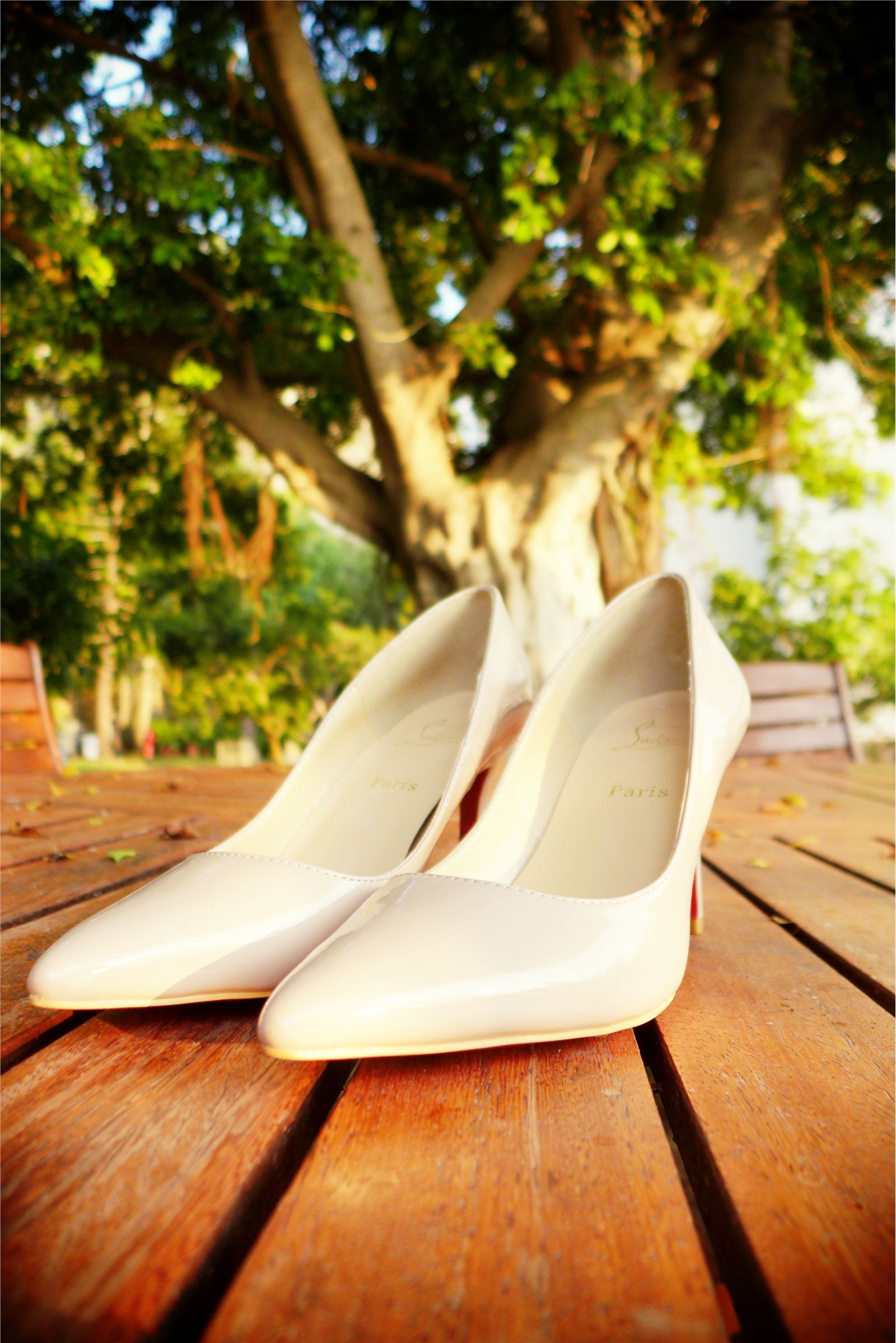 CERVIN大小姐外景